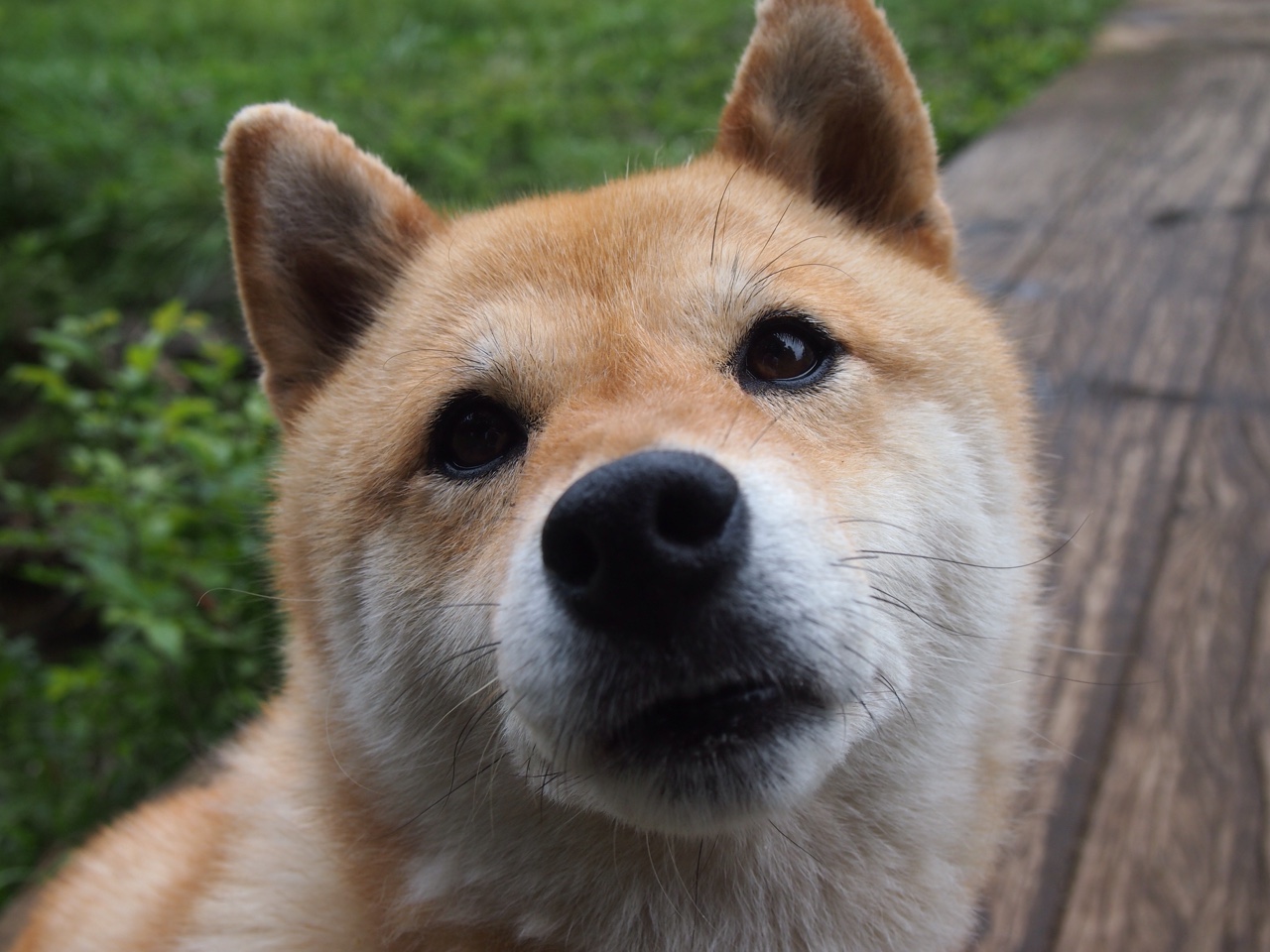 爱游戏体育APP下载-CS2 新赛季赛事全面展开，csgo2什么时候出