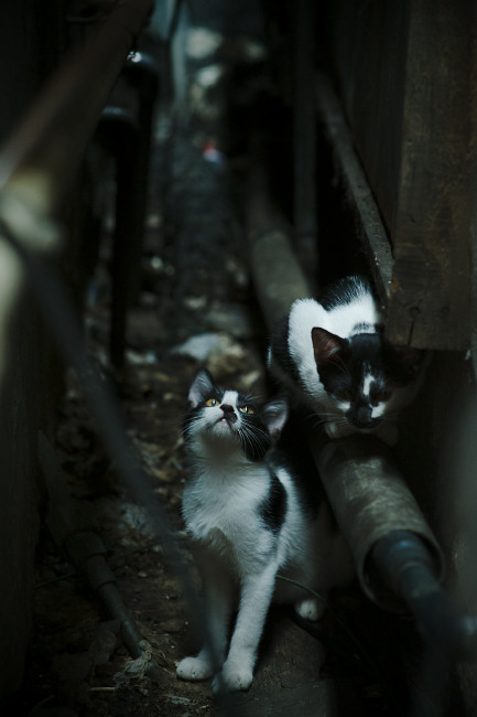 爱游戏电竞同步-CS2 新赛季赛程安排合理，cs2游戏